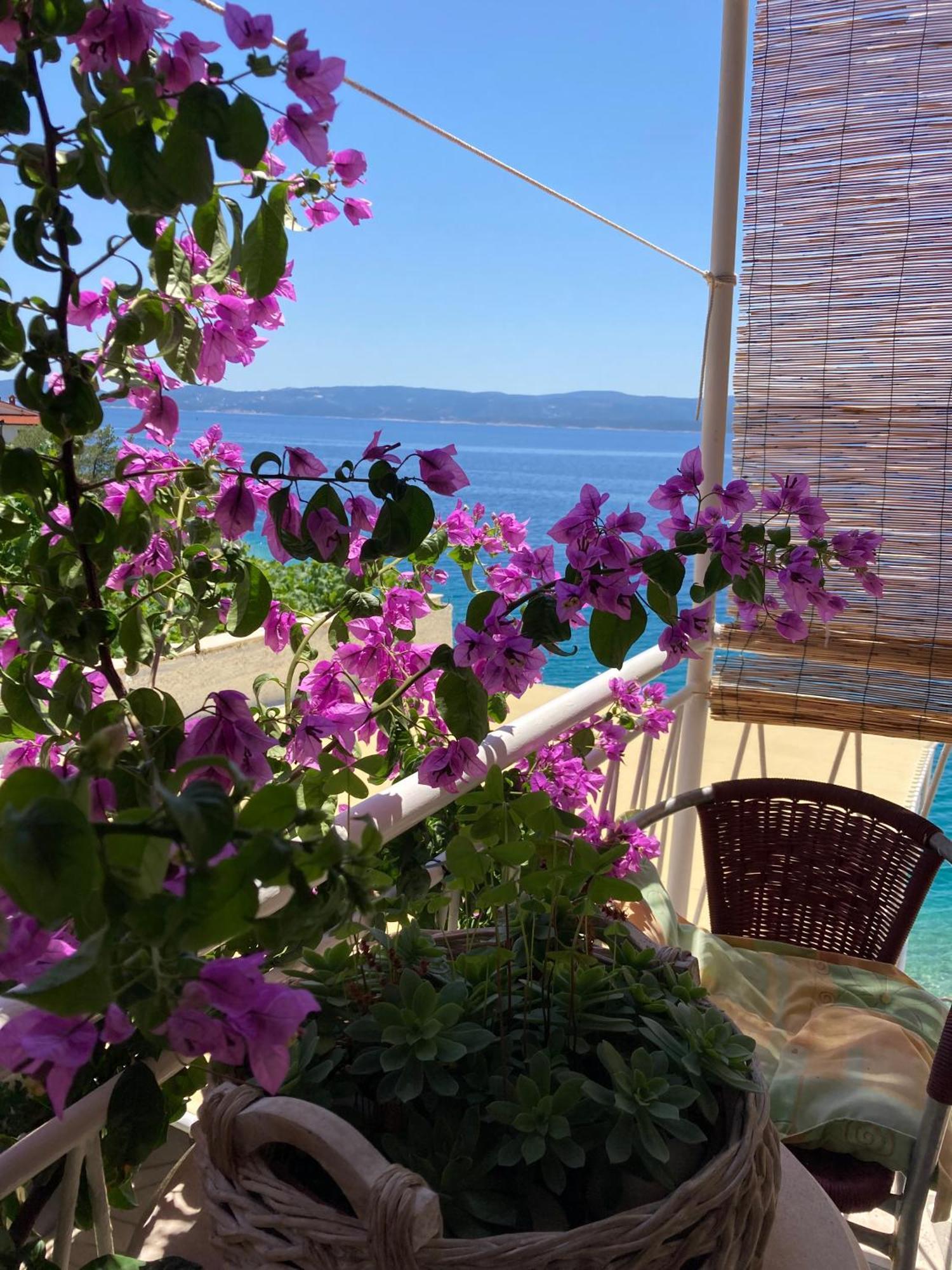Rooms Pere S Mora Mimice Εξωτερικό φωτογραφία