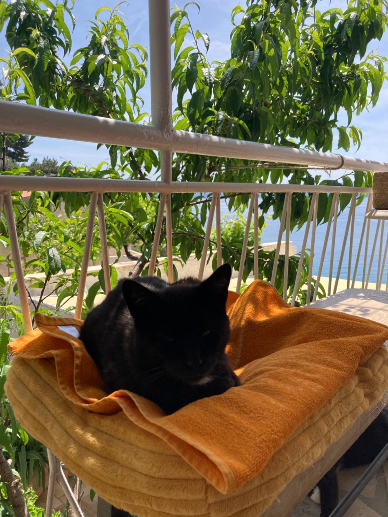 Rooms Pere S Mora Mimice Εξωτερικό φωτογραφία
